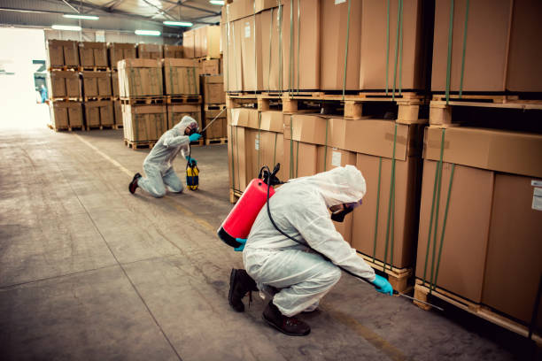 Best Insect Control  in Kingston, IL