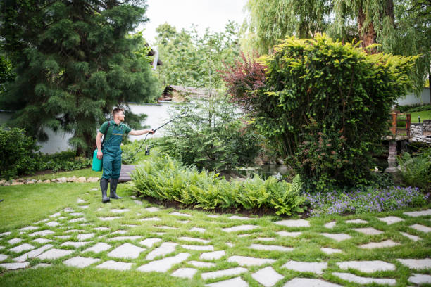 Best Pest Control Near Me  in Kingston, IL