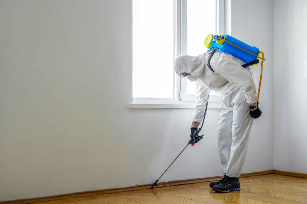 Best Pest Inspection Near Me  in Kingston, IL