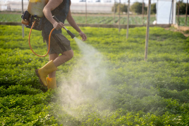 Best Residential Pest Control  in Kingston, IL