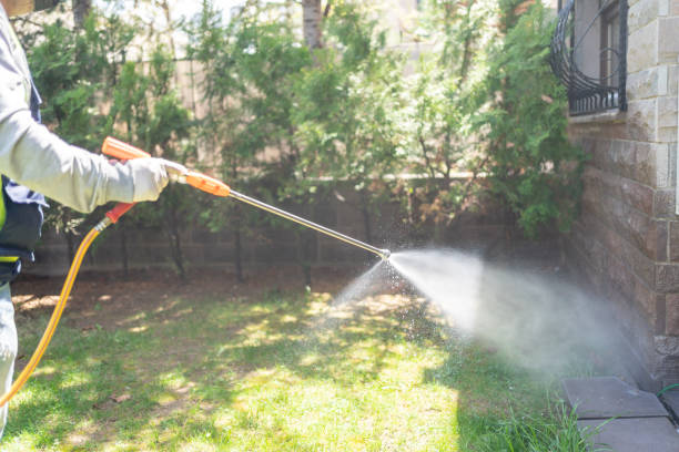 Best Flea Control Services  in Kingston, IL