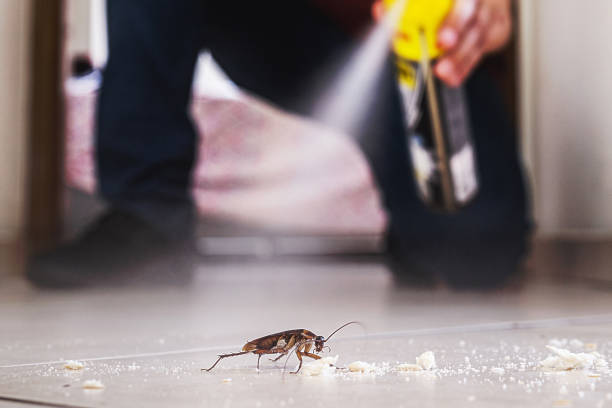 Best Cockroach Control Services  in Kingston, IL